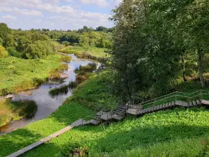 Papilės atodangos