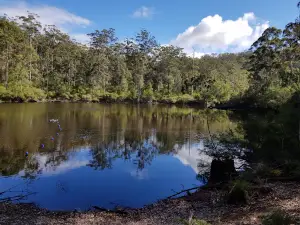 Shannon National Park