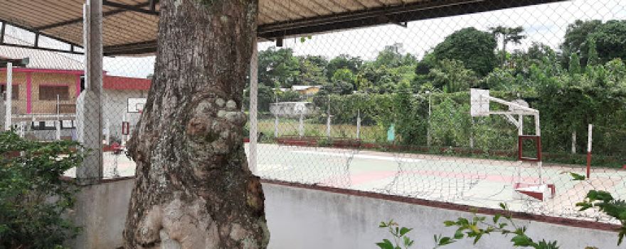Terrain de basketball