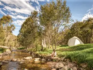 Flea Creek campground