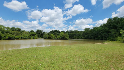 Big Walnut Park