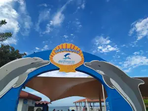 Cienfuegos Dolphinarium