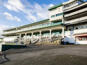 Chepstow Racecourse