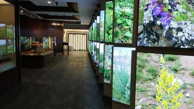 Altai Mountain Chinese Herbal Medicine Museum