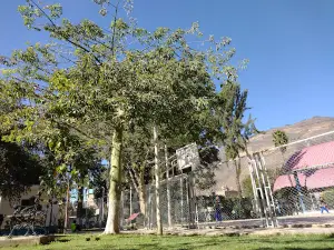 AMARILIS Park