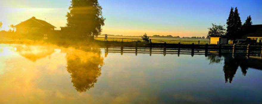 Camping Wilgenhof