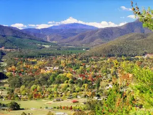 BIG4 Tasman Holiday Parks - Bright