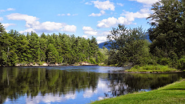 Moose Meadow Mini Golf