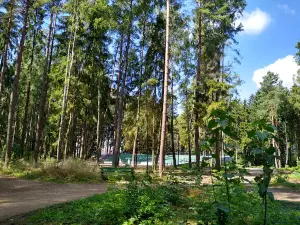 Amfiteatr Miejski w Mońkach