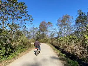 Mỏm đá sống ảo Y TÝ _MS