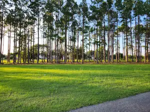 Freedom Park Disc Golf Course