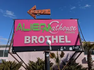 Alien Cathouse Brothel