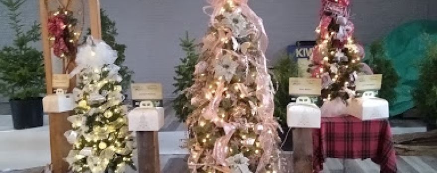Madoc Kiwanis Club