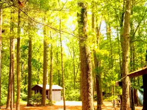 Camp Yawgoog