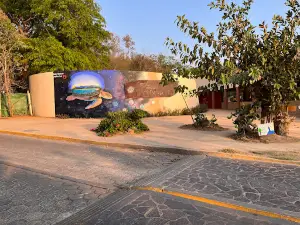 Centro Mexicano de la Tortuga