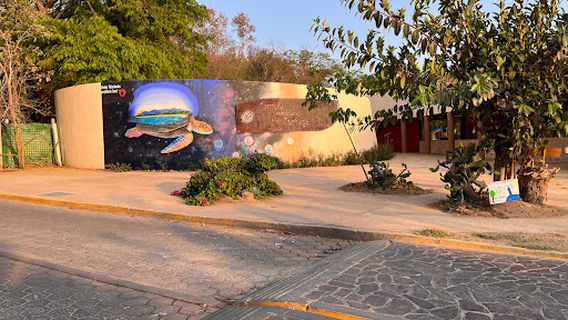 Centro Mexicano de la Tortuga