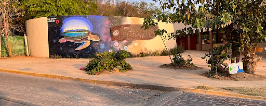 Centro Mexicano de la Tortuga