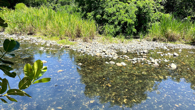 Tito's Paintball Park, Rio Grande