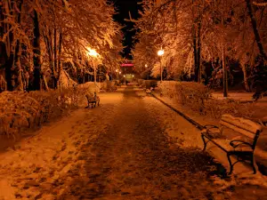 Tsentralʹno-Misʹkyy Park Imeni Vasylya Dzharty