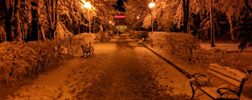 Tsentralʹno-Misʹkyy Park Imeni Vasylya Dzharty
