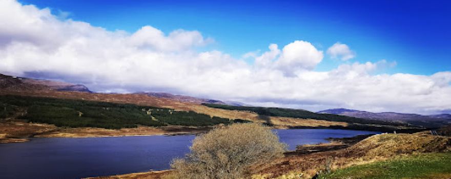 Caochan Riabhach