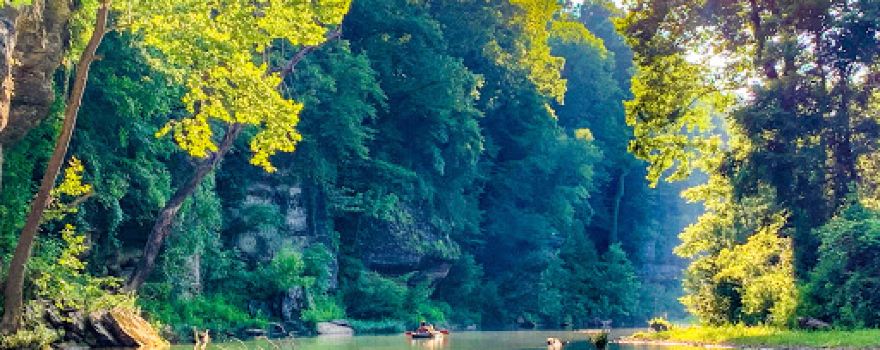 Pinewood Canoe & Camp LLC