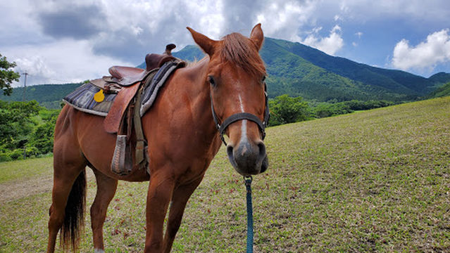 阿蘇うま牧場