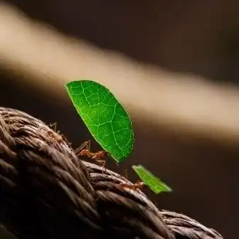 Các khách sạn gần Lakes Aquarium
