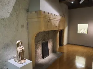 Museum of La Cour d'Or