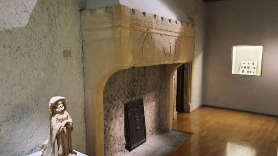 Museum of La Cour d'Or