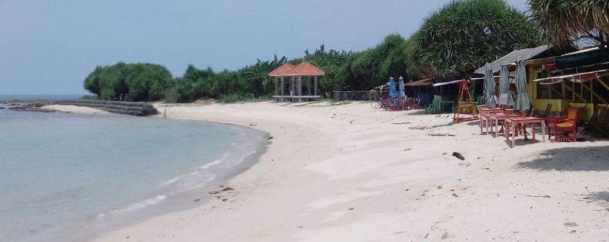 Mlonggo
