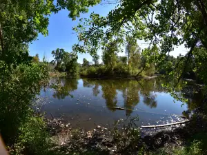 For-Mar Nature Preserve & Arboretum