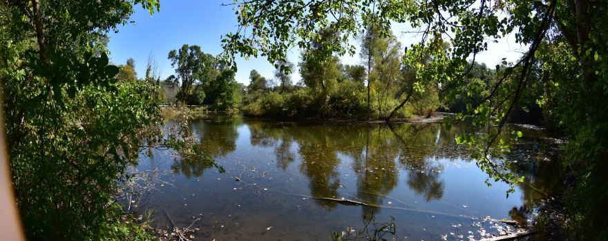 For-Mar Nature Preserve & Arboretum