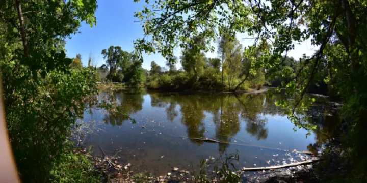 For-Mar Nature Preserve & Arboretum