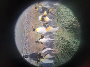 Regione di Magellano e dell'Antartide Cilena