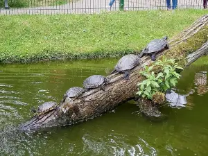 Tierpark Gera