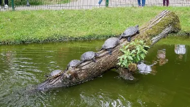 Tierpark Gera