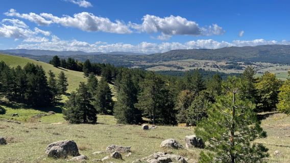 Sila National Park