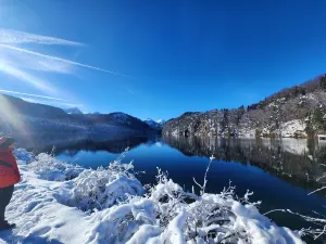 Alpsee
