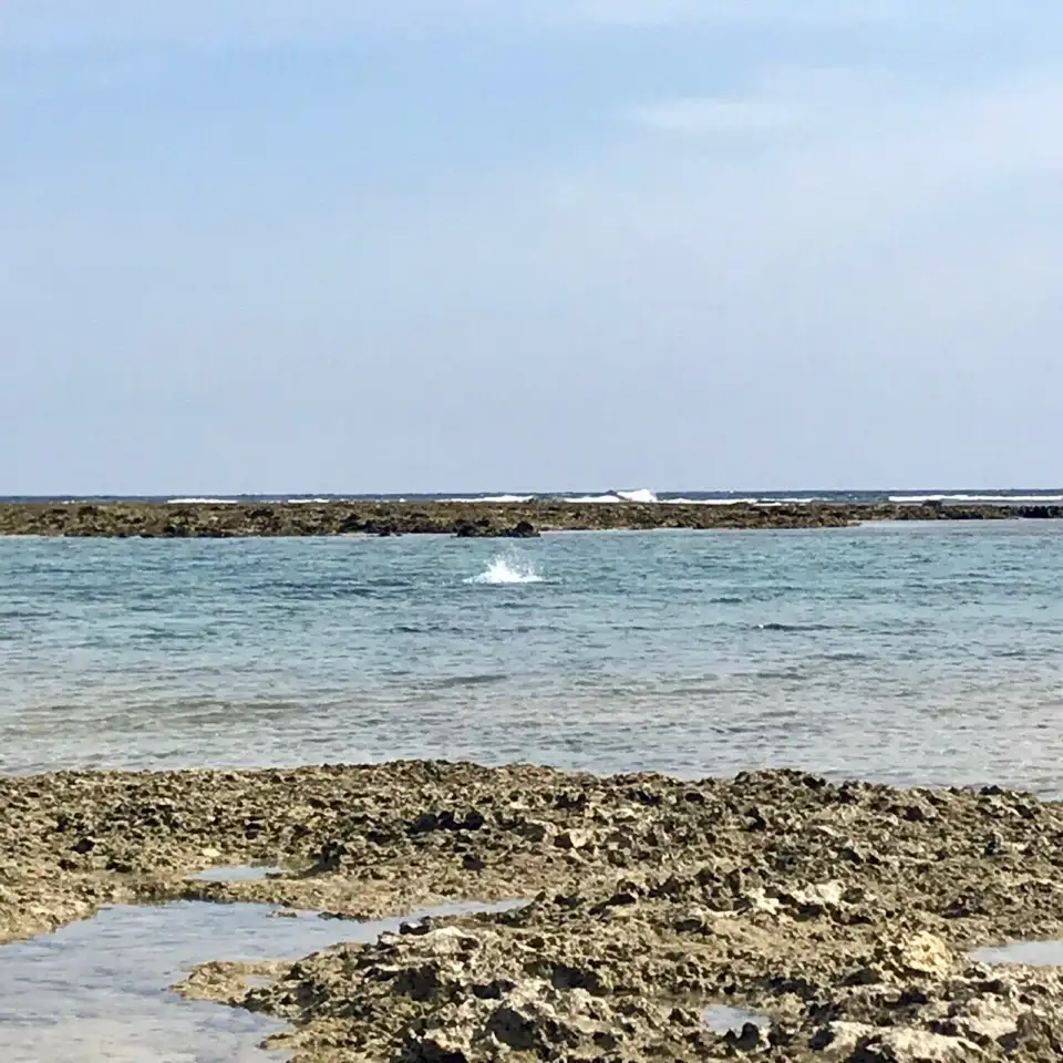 4_Ōdo Beach