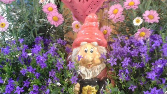 Omearas Garden Centre