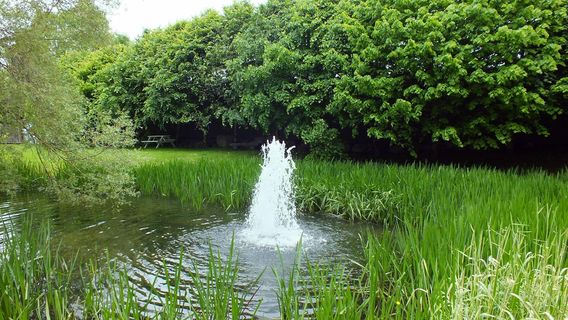 Burren Birds of Prey Centre
