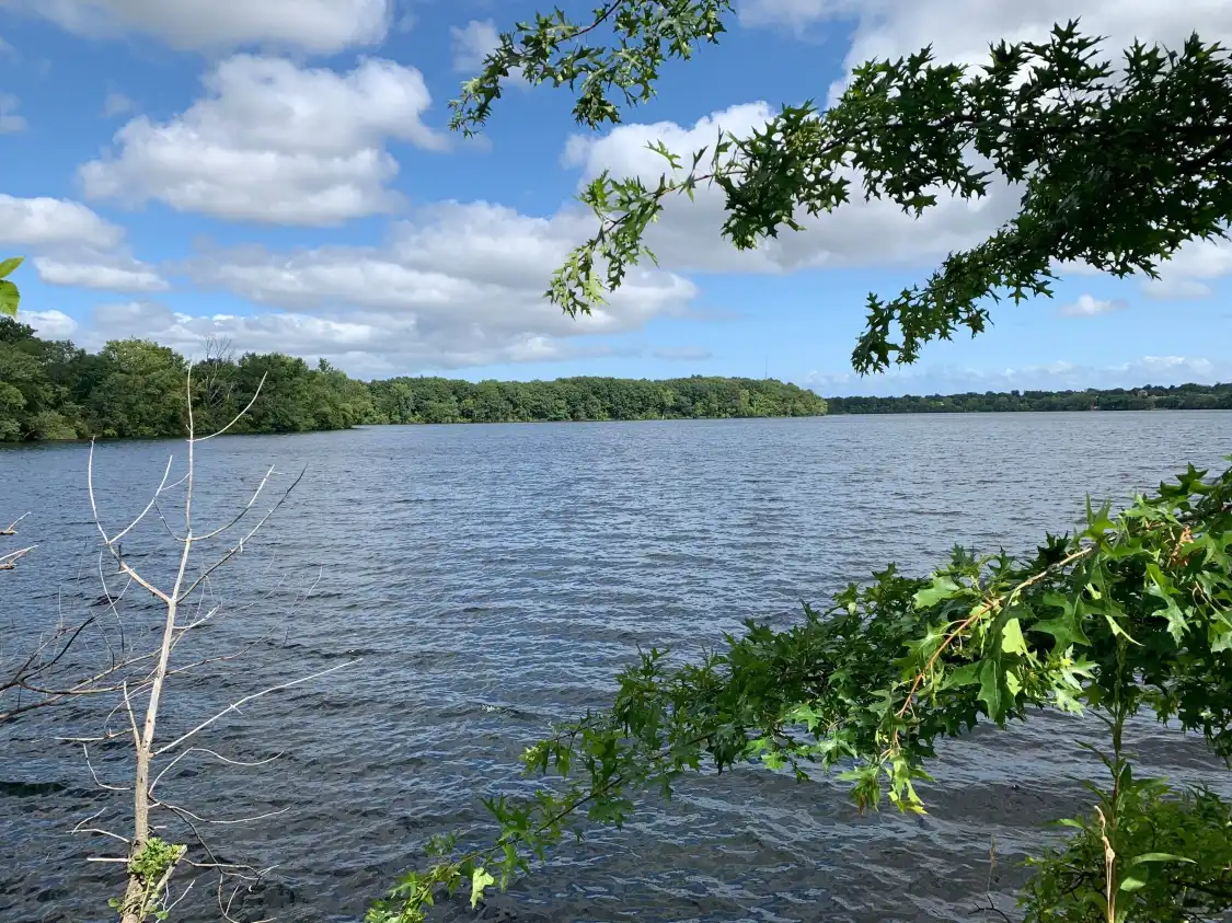 Hotels near Fresh Pond Reservation