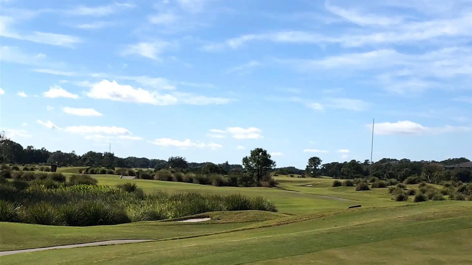 Hoteles cerca de Grand Cypress Golf Club