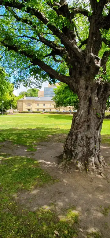 タスマニア州議事堂周辺のホテル