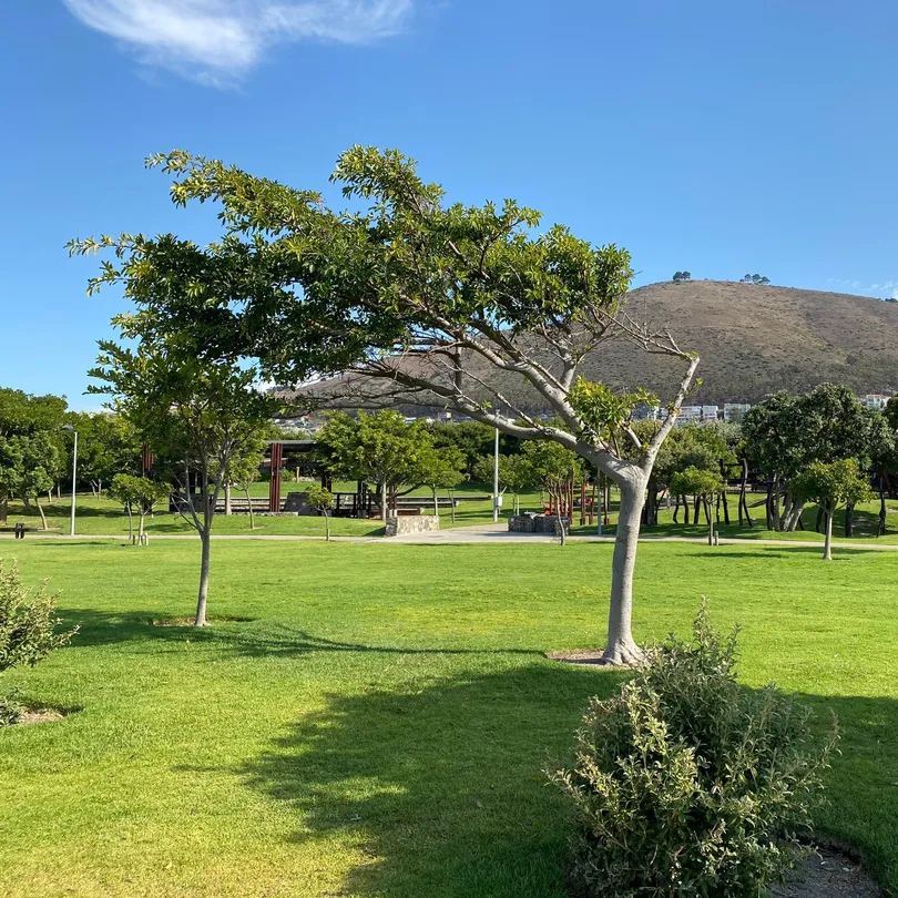 3_สวนสาธารณะและสวนนิเวศน์กรีนพอยนท์