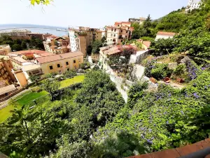 Giardino della Minerva