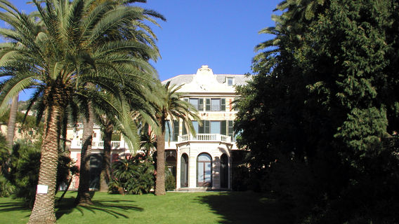 Nervi