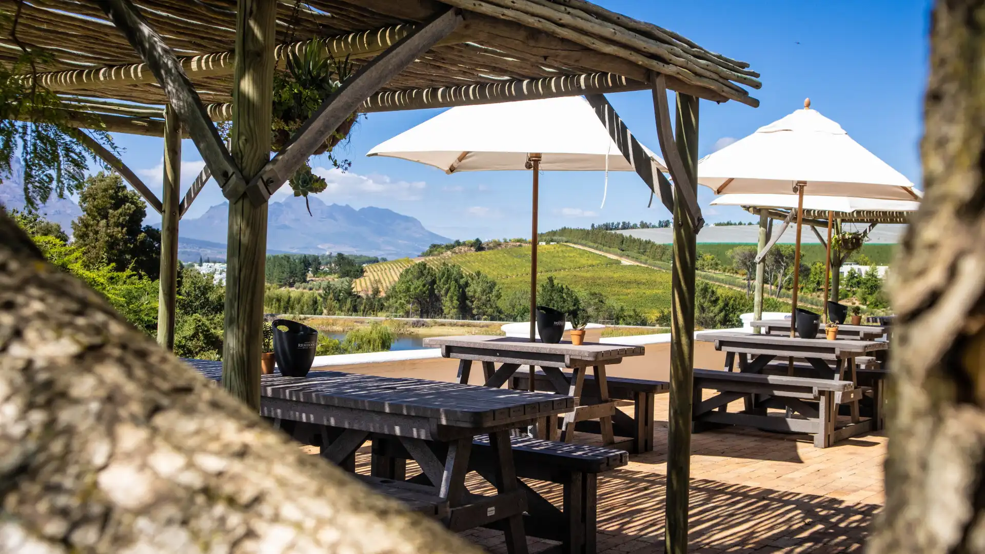 Hotels near Remhoogte Wine Estate