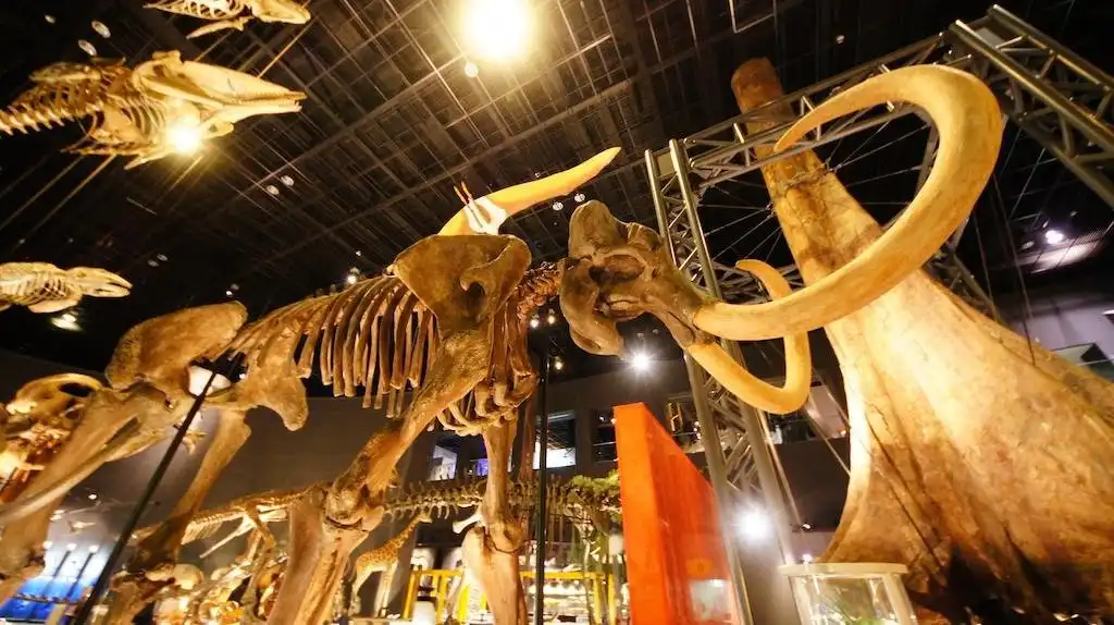 Hotels near Kanagawa Prefectural Museum of Natural History